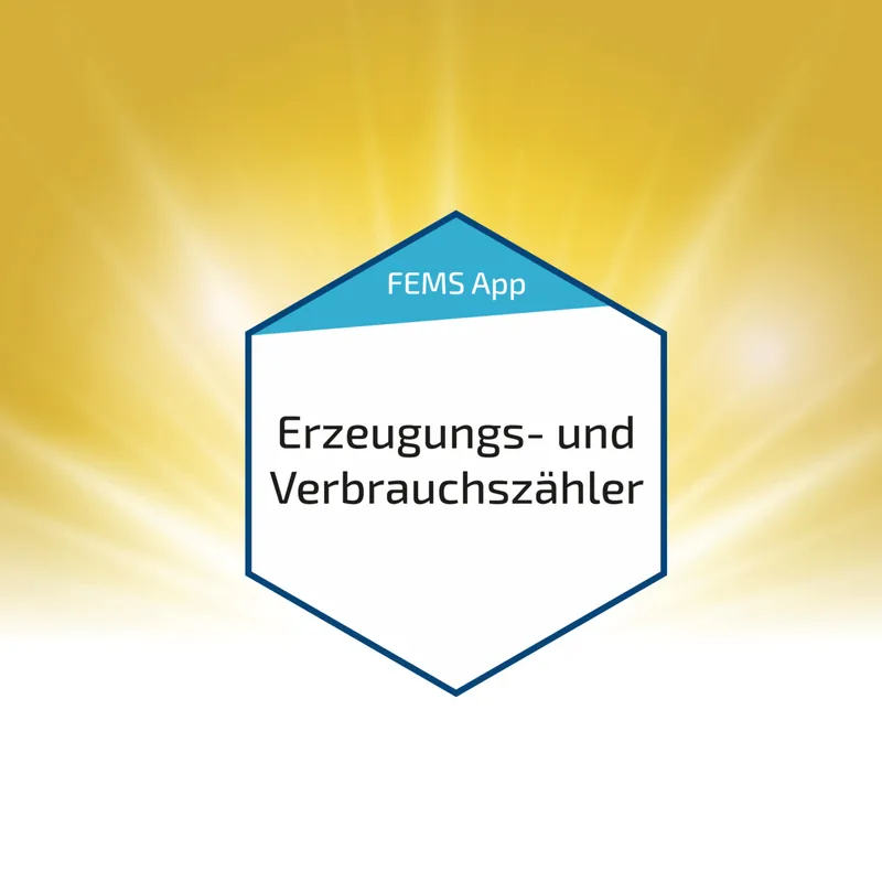 FEMS App für Erzeugungs- und Verbrauchszähler (FEM131) Geprüft